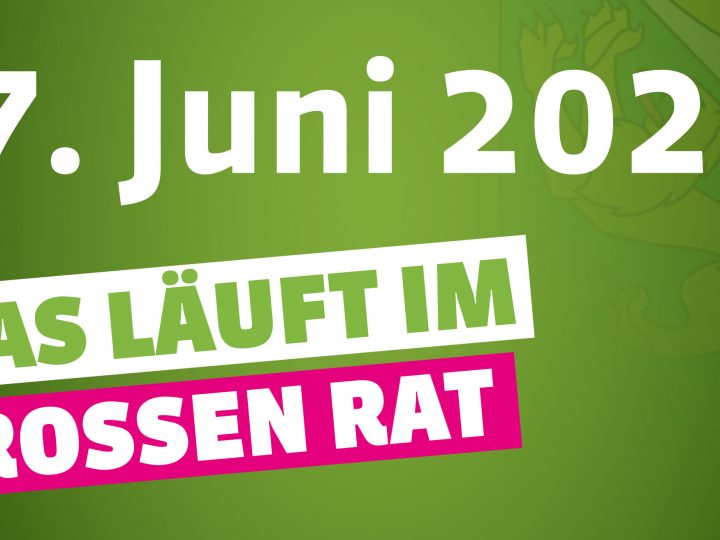 Sitzung vom 17. Juni 2020